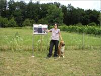 10-Astro-Garten-Sternbilder