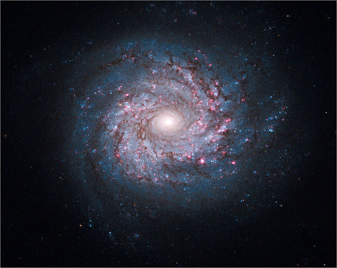 NGC-3982
