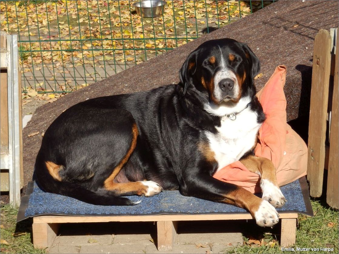1030EmiliaimSeegartenhof