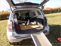 11-29-b-mein-Platz-im-Auto