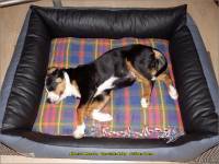 12-16-a-die-mittags-Siesta