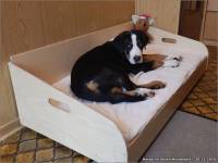 12-30-b-Harpo-im-neuen-Hundebett
