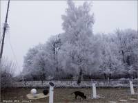 12-31-Silvester-2016-minus-5-Grad