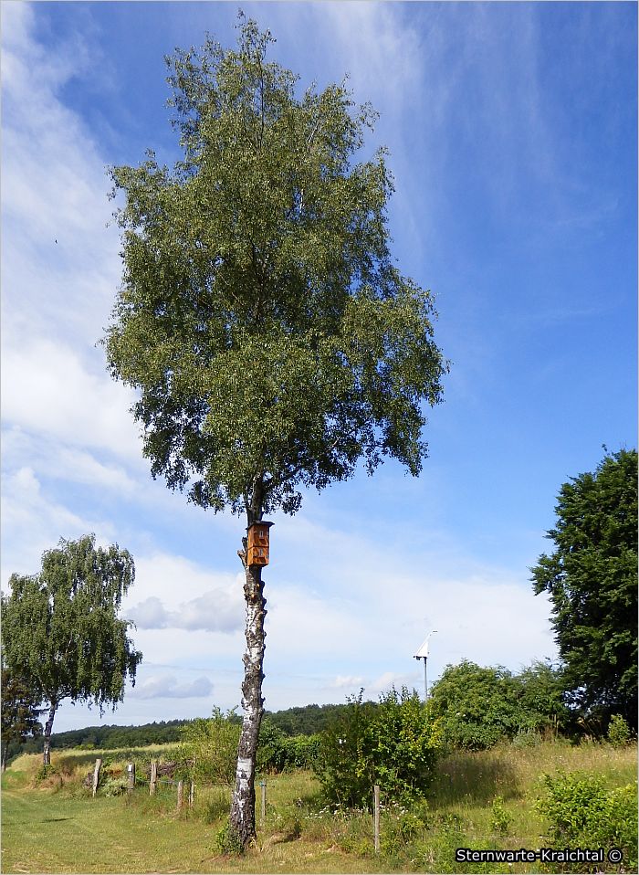 06 Hornissenkasten Lärchenholz