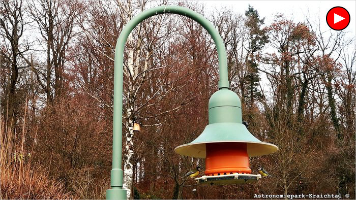 Voegel am Futterhaus 2022