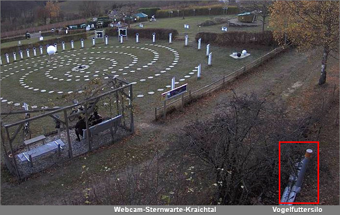 Webcam Vogelfutterspender