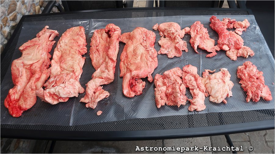 2025 Rinderfett Vogelfutter 2025 Rinderfett Vogelfutter b