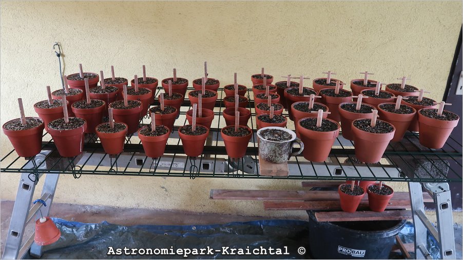 Tontopf Vogelfutter 2025 Tontopf Vogelfutter