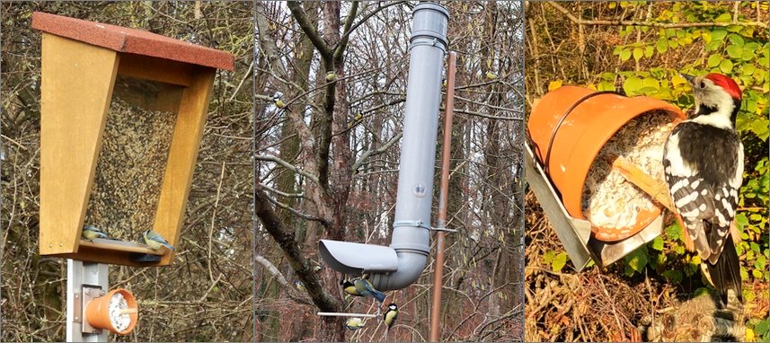 Vogelfutter Spender