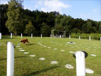 20-Saeulen-gestrichen