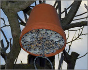 Rinderfett Vogelfutter