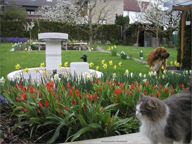 Garten mit Traenke für Tiere, Sitzbaenke im Hintergrund