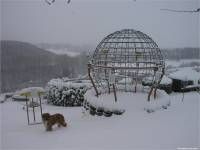 Winter-25-12-2010